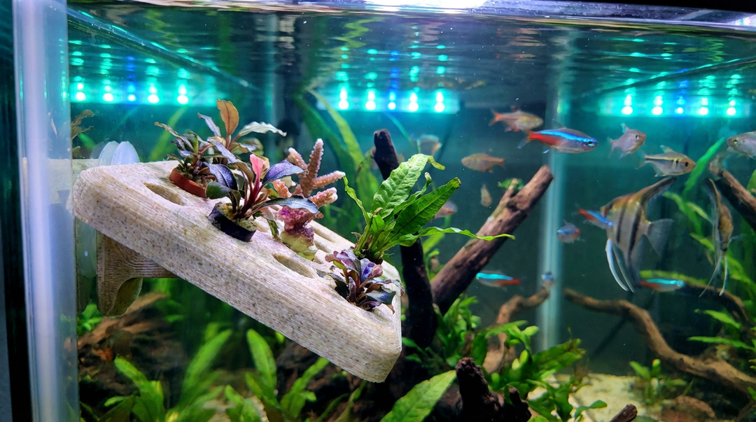 Is PLA Safe for Aquariums? Printing Coral Frags and Hides