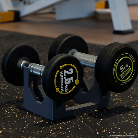 Gray dumbbell rack holding 2.5 kg and 5kg KINGBOX dumbbells, suitable for home gym equipment.